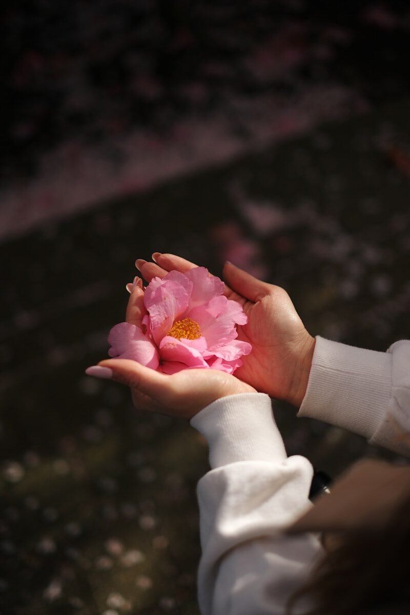 Photo by Dmitry Spravko